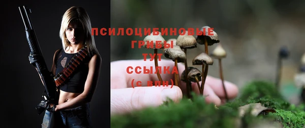 сатива Краснотурьинск